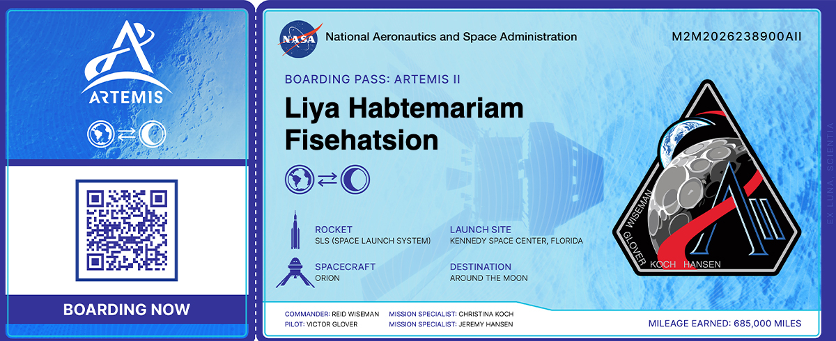 Birthday boarding pass