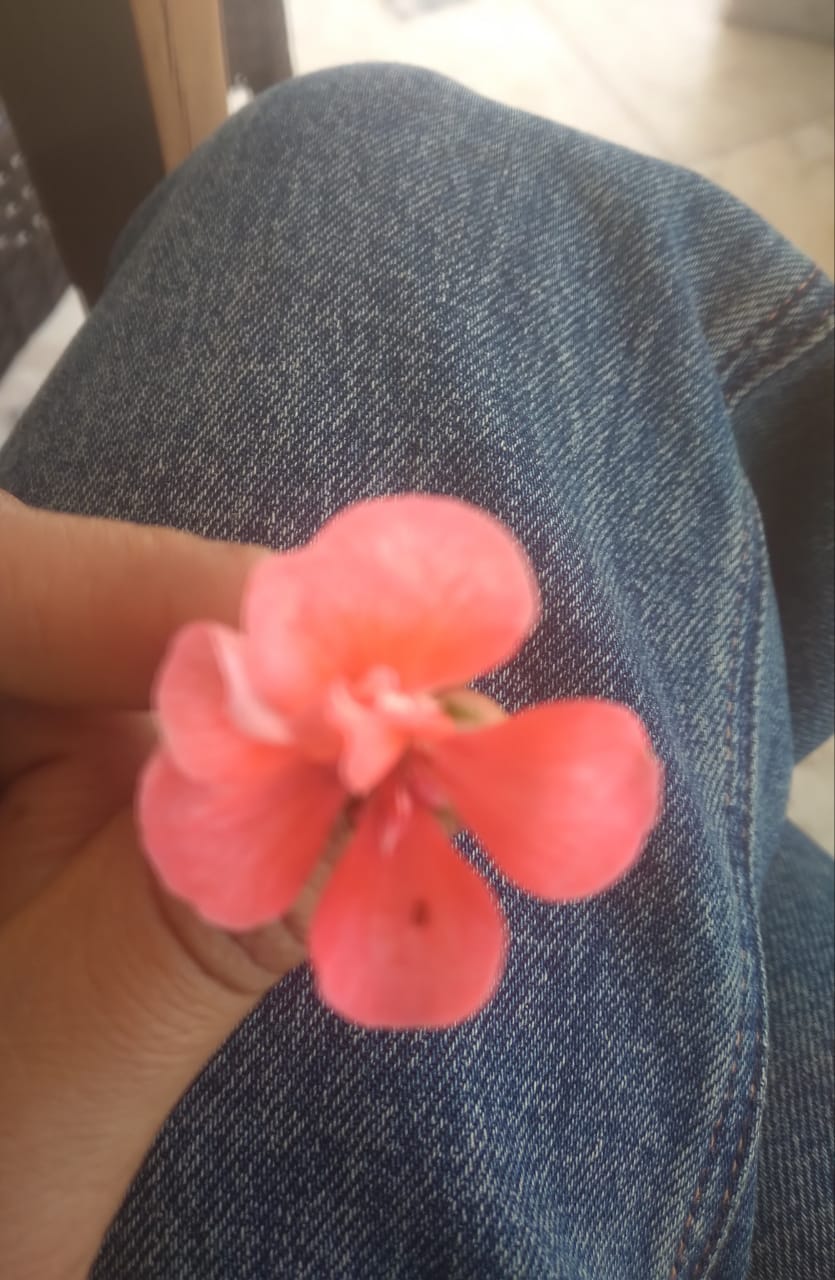 Memory carousel image 1